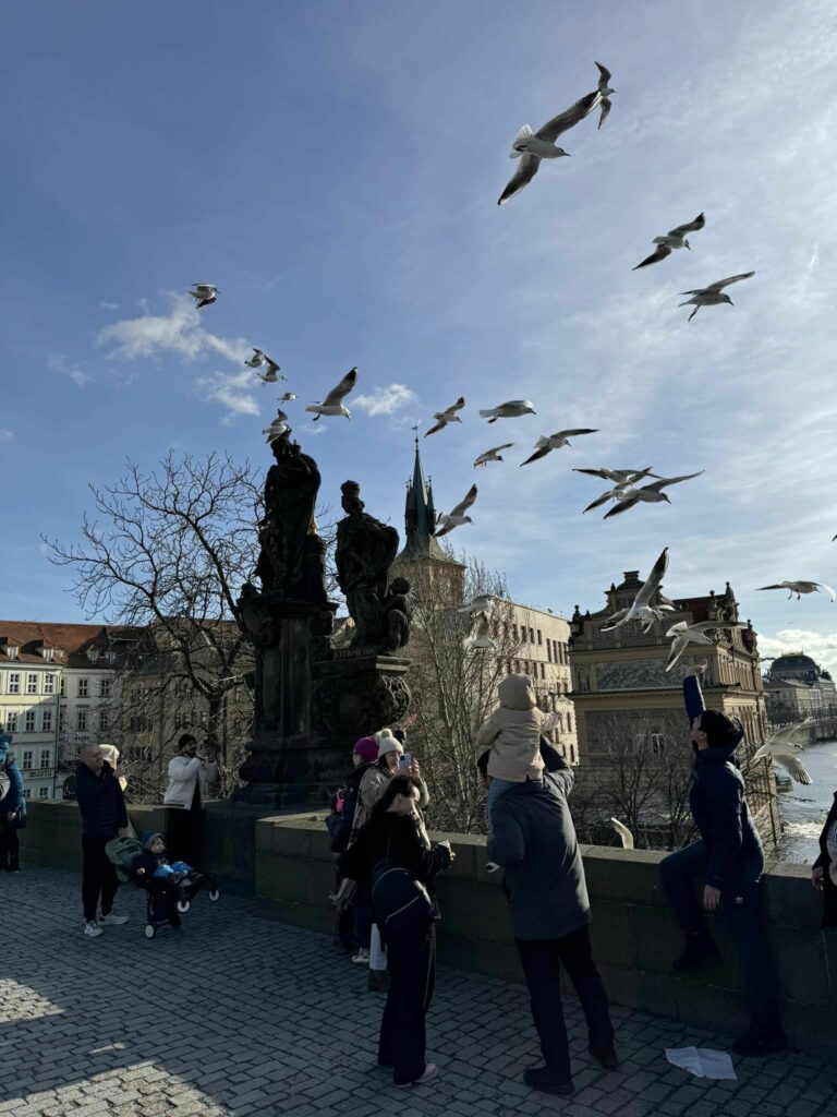 Karlův most