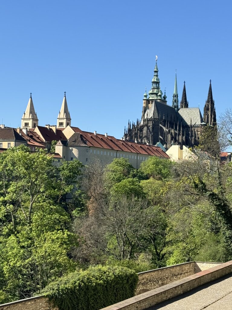 pohled z Královské zahrady na Katedrálu sv. Víta